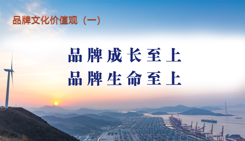 品牌文化价值观（一）