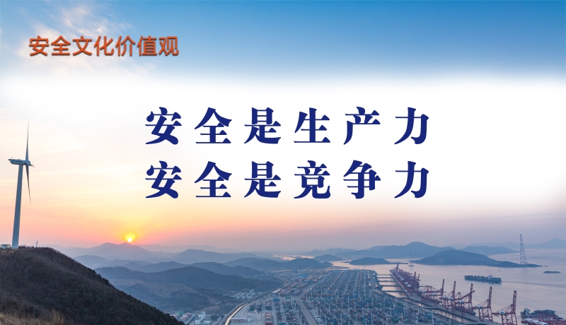 安全文化价值观