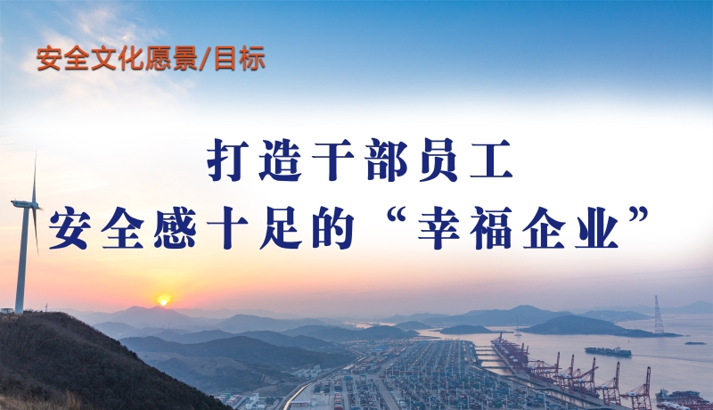 安全文化愿景、目标
