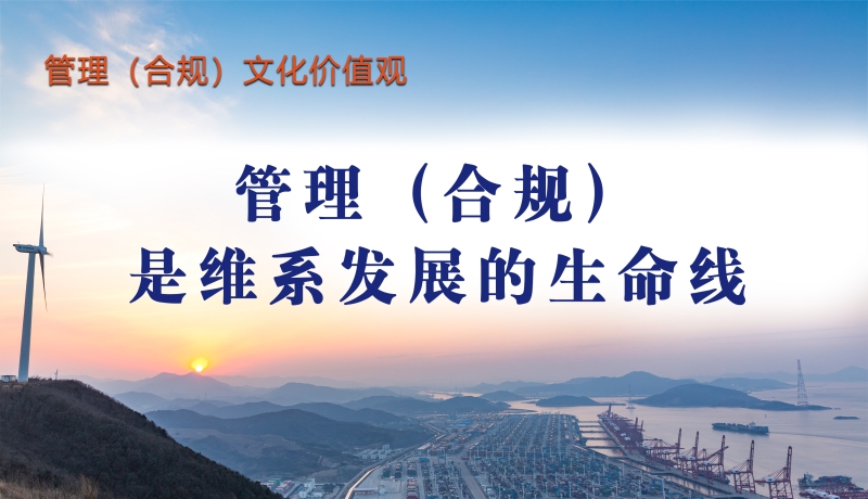 管理（合规）文化价值观