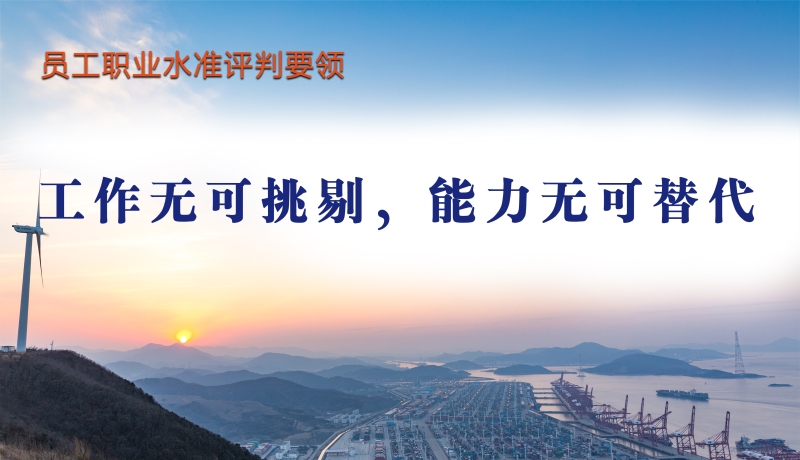 17员工职业水准评判要领